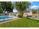 Spacious backyard with swimming pool and lush landscaping at 8402 Bedford Ln, Tampa, FL 33615