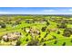 Sprawling aerial view showcasing the expansive estate grounds and multiple homesites within the community at 10603 Low Oak Ter, Thonotosassa, FL 33592