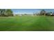 Lush green golf course with homes in the background at 11609 Weaver Park Ct, Trinity, FL 34655