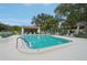 Inviting community pool with lounge chairs and umbrellas, perfect for relaxation and recreation at 3157 Mission Grove Dr, Palm Harbor, FL 34684