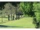 A beautiful golf course is viewed with lush grass and mature trees, creating a scenic backdrop at 3157 Mission Grove Dr, Palm Harbor, FL 34684