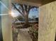 A screened patio view of a community pool surrounded by mature trees in a tropical setting at 3157 Mission Grove Dr, Palm Harbor, FL 34684