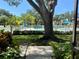 View from the doorway to a community pool with multiple lounge chairs and a large shade tree at 3157 Mission Grove Dr, Palm Harbor, FL 34684