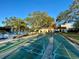 Shuffleboard courts with benches and community pool at 3157 Mission Grove Dr, Palm Harbor, FL 34684