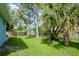 Large backyard showcasing a shed, mature trees, and a well-maintained lawn at 803 W Sligh Ave, Tampa, FL 33604