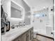 Modern bathroom with updated vanity and walk-in shower at 12506 Ashdown Dr, Odessa, FL 33556