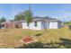 Backyard features a young tree, lawn, and a white house with a dark roof at 2911 E 20Th Ave, Tampa, FL 33605