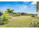 Landscaped backyard with grassy lawn and palm trees at 5607 Limelight Dr, Apollo Beach, FL 33572