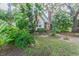 House with mature tropical landscaping at 2367 Woodlawn W Cir, St Petersburg, FL 33704