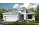 One-story home with gray roof, white walls, and a two-car garage at 4504 Isonzo Way, Wesley Chapel, FL 33543