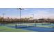 Well-maintained tennis and pickleball courts at 4504 Isonzo Way, Wesley Chapel, FL 33543