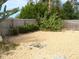 Backyard with gravel ground cover, cactus plants, and wooden fence at 3247 Kimberly Oaks Dr, Holiday, FL 34691