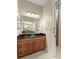 Bathroom with vanity, mirror, and access to shower at 11516 Bellamar St, Temple Terrace, FL 33637