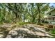 Long driveway leading to a house with mature trees at 5455 Lake Le Clare Rd, Lutz, FL 33558