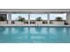 Rooftop pool with city views, a tiled deck, and planters with palm trees, perfect for relaxation at 777 3Rd N Ave # 1504, St Petersburg, FL 33701