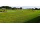 View of backyard and golf course at 10131 Old Tampa Bay Dr, San Antonio, FL 33576