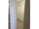 Walk-in closet featuring laminate flooring and metal shelving at 13034 Avalon Crest Ct, Riverview, FL 33579