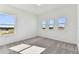 Well-lit bedroom featuring gray carpet and large windows at 13810 Sunlight Meadow Dr, Riverview, FL 33578