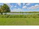 Serene view of a lake with lush greenery at 5429 Rainwood Meadows Dr, Apollo Beach, FL 33572