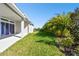 Expansive grassy backyard with tropical landscaping at 6179 Hidden Branch Dr, Apollo Beach, FL 33572