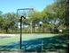 Outdoor basketball court surrounded by trees at 9481 Highland Oak Dr # 306, Tampa, FL 33647