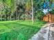 Large backyard with a shed and lush lawn at 2229 Arch Mcdonald Dr, Dover, FL 33527