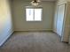 Cozy bedroom with neutral carpet, window for natural light, and closet at 8504 Brushleaf Way, Tampa, FL 33647