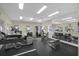 Well-equipped fitness center with various exercise machines for residents at 8504 Brushleaf Way, Tampa, FL 33647