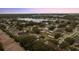 Aerial view of houses near a lake in a community at 2944 Prairie Iris Dr, Land O Lakes, FL 34638