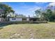 Wide shot of backyard with grass, trees, and new perimeter fence at 5479 Pinehurst Dr, Spring Hill, FL 34606