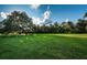 Large grassy lot with mature oak tree at 11833 Castine St, New Port Richey, FL 34654