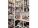 Well-organized pantry with ample shelving for food storage at 8731 Sanders Tree Loop, Wesley Chapel, FL 33545