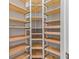 Walk-in pantry with adjustable wood shelving for organized storage at 10111 Craftsman Park Way, Palmetto, FL 34221