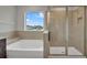 Bathroom with soaking tub and separate shower stall at 8277 Bower Bass Cir, Wesley Chapel, FL 33545