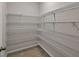 Bright walk-in pantry with wire shelving at 8277 Bower Bass Cir, Wesley Chapel, FL 33545