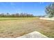 Large backyard with a view of a pond and other houses at 10918 Ancient Futures Dr, Tampa, FL 33647