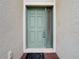 Light green front door with sidelight and brick walkway at 10918 Ancient Futures Dr, Tampa, FL 33647