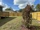 Fenced backyard with a deck and young trees at 1518 E Knollwood St, Tampa, FL 33610