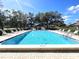 Community pool with lounge chairs under sunny skies at 3600 Magnolia Ridge Cir # 1221-G, Palm Harbor, FL 34684