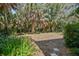 Secluded backyard featuring lush greenery, tropical plants, mature trees, and stepping stones at 6231 Bayshore Blvd, Tampa, FL 33611