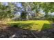 Large, grassy backyard bordered by trees and a wooden fence at 1960 Alton Dr, Clearwater, FL 33763