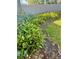 Manicured landscaping featuring bromeliads and green ground cover at 2288 Citrus Ct, Clearwater, FL 33763