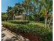 Meadowlake Palm Harbor entrance sign is framed by mature trees at 2690 Coral Landings Blvd # 722, Palm Harbor, FL 34684