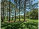 Lush green space with mature trees in the Meadowlake community at 2690 Coral Landings Blvd # 722, Palm Harbor, FL 34684