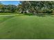 Putting green set amongst mature shade trees offers residents a relaxing amenity at 2690 Coral Landings Blvd # 722, Palm Harbor, FL 34684