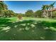Putting green set amongst mature shade trees offers residents a relaxing amenity at 2690 Coral Landings Blvd # 722, Palm Harbor, FL 34684