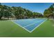 Well-maintained tennis court framed by mature trees, offers a great recreational amenity at 2690 Coral Landings Blvd # 722, Palm Harbor, FL 34684