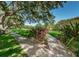 Scenic sidewalk meanders through the community's lush landscaping and mature trees at 2690 Coral Landings Blvd # 722, Palm Harbor, FL 34684