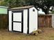 White storage shed with black trim in the backyard at 9322 88Th Way, Seminole, FL 33777