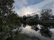 Peaceful canal view with lush greenery and reflection of the sky at 3339 Van Nuys Loop, New Port Richey, FL 34655